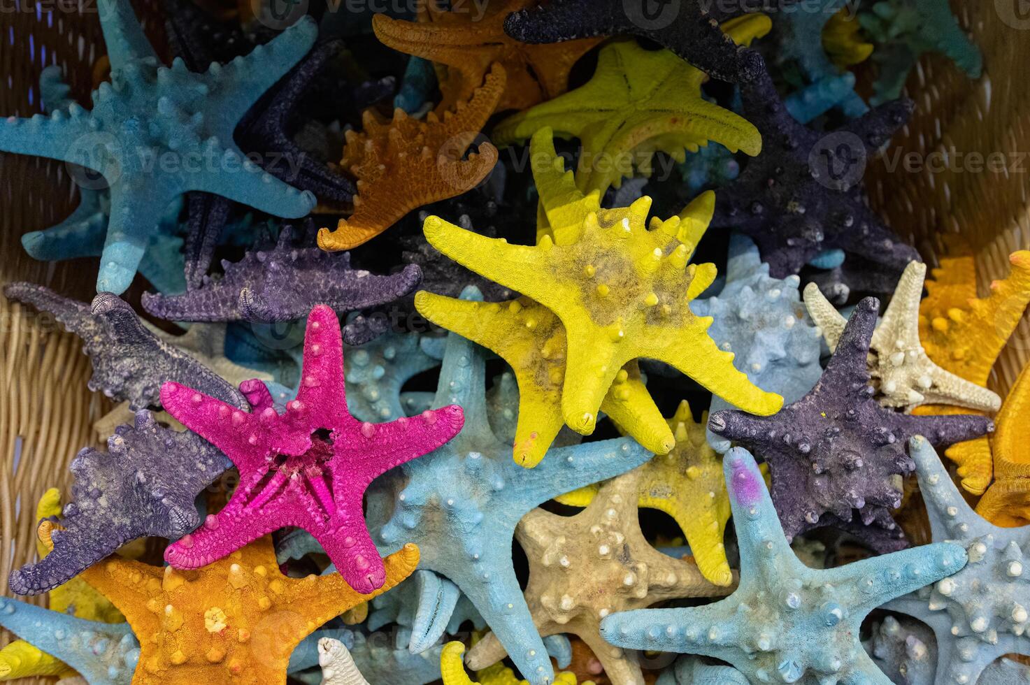 Colorful sea stars in a basket. photo