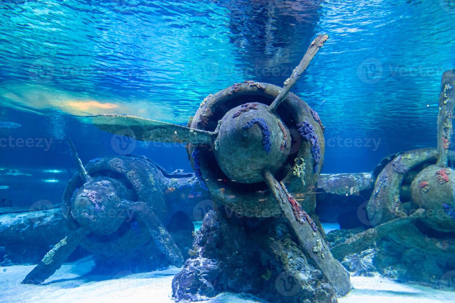 Airplane underwater in the aquarium. photo