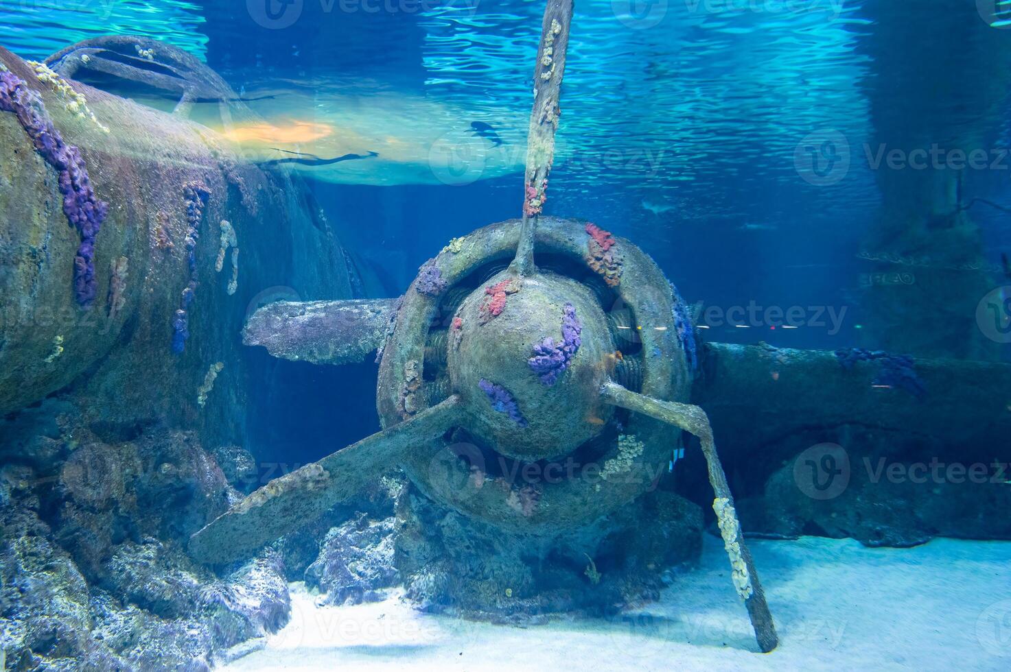Airplane underwater in the aquarium. photo