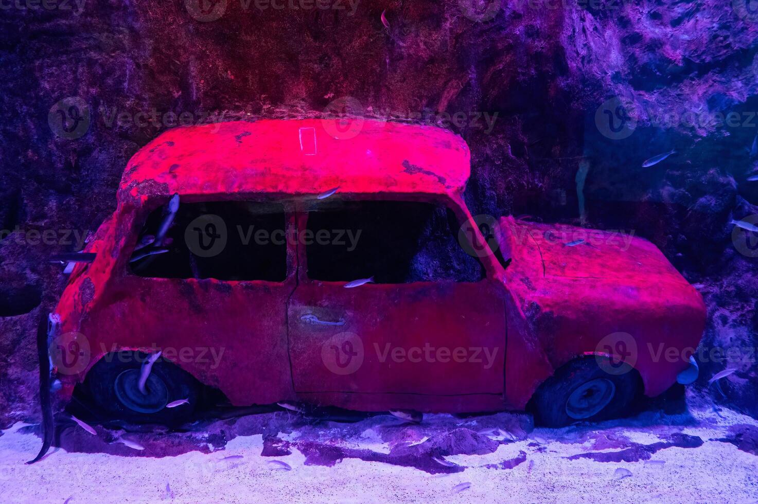 Red colored car and fish under water in the aquarium. Car wrek in aquarium. Car under water. photo