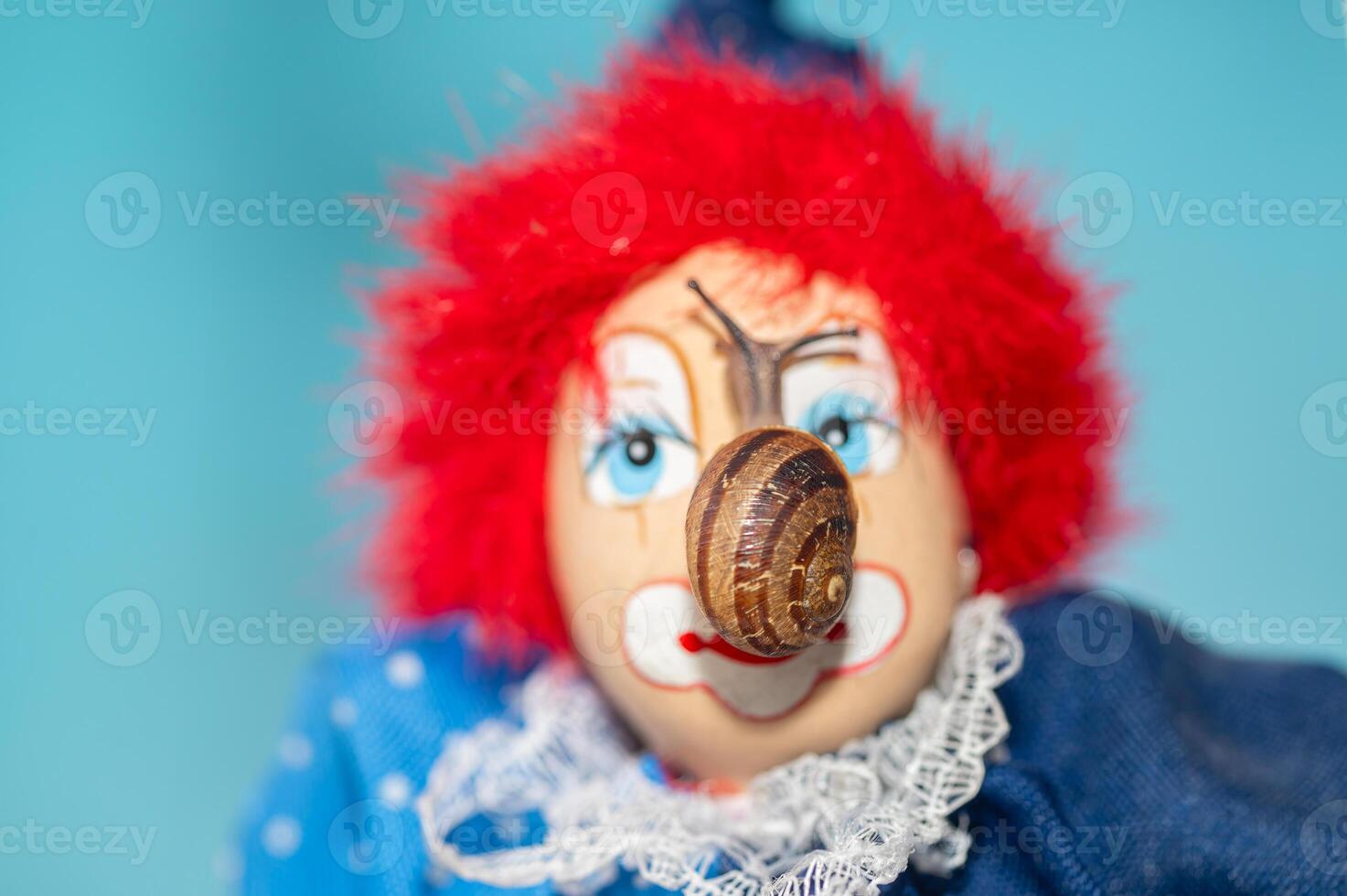 Snail walking on the face of a clown model. photo