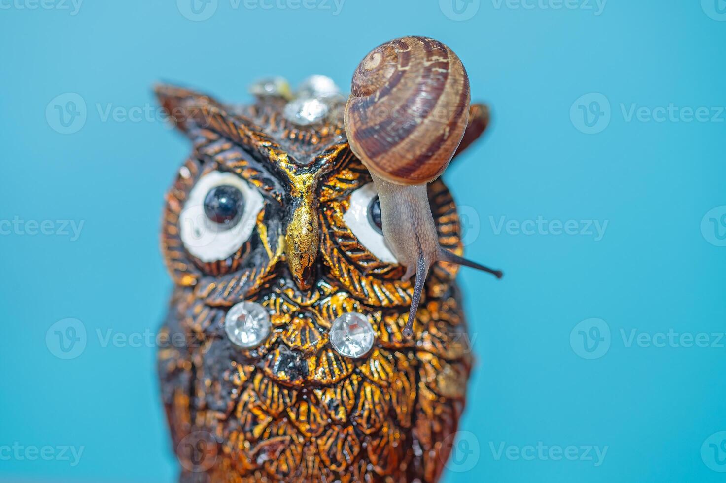 Snail on an owl figurine. photo