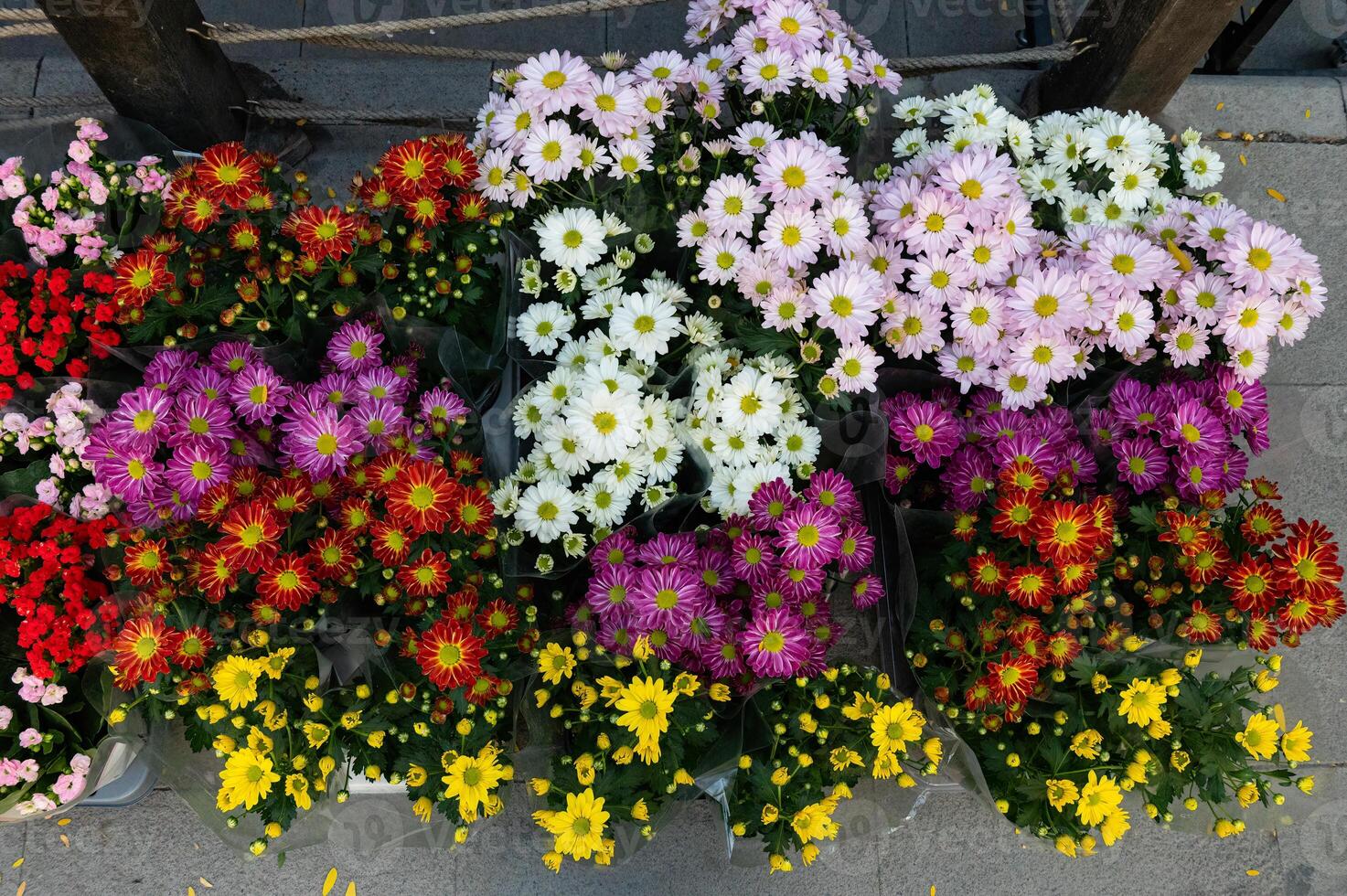 Flowers in different colored pots in a flower shop. photo
