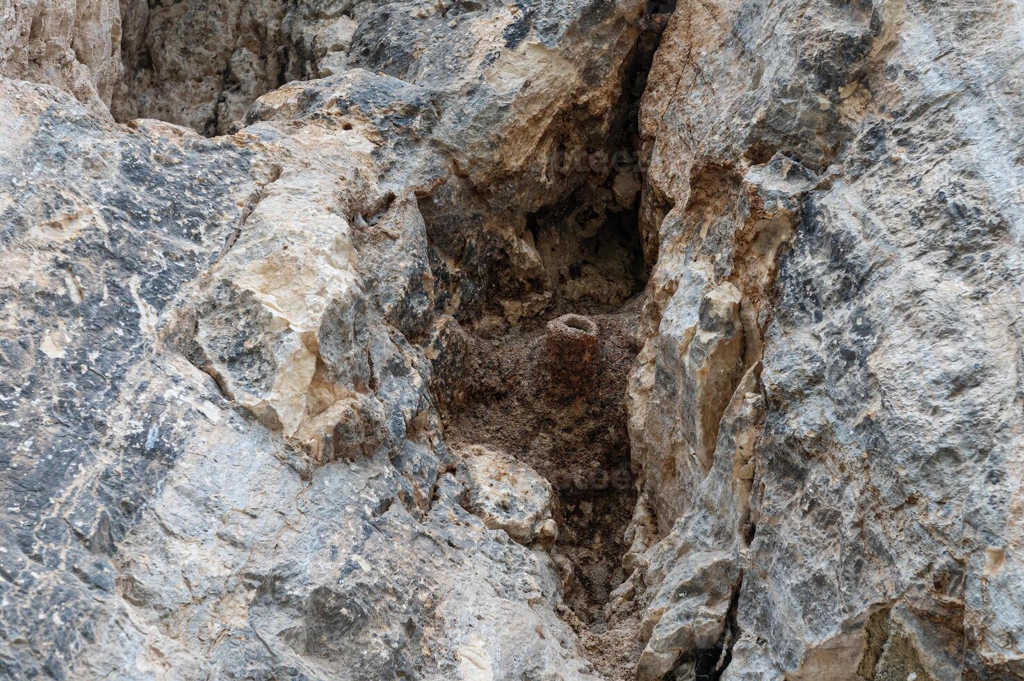 A bear is standing in a rock formation photo