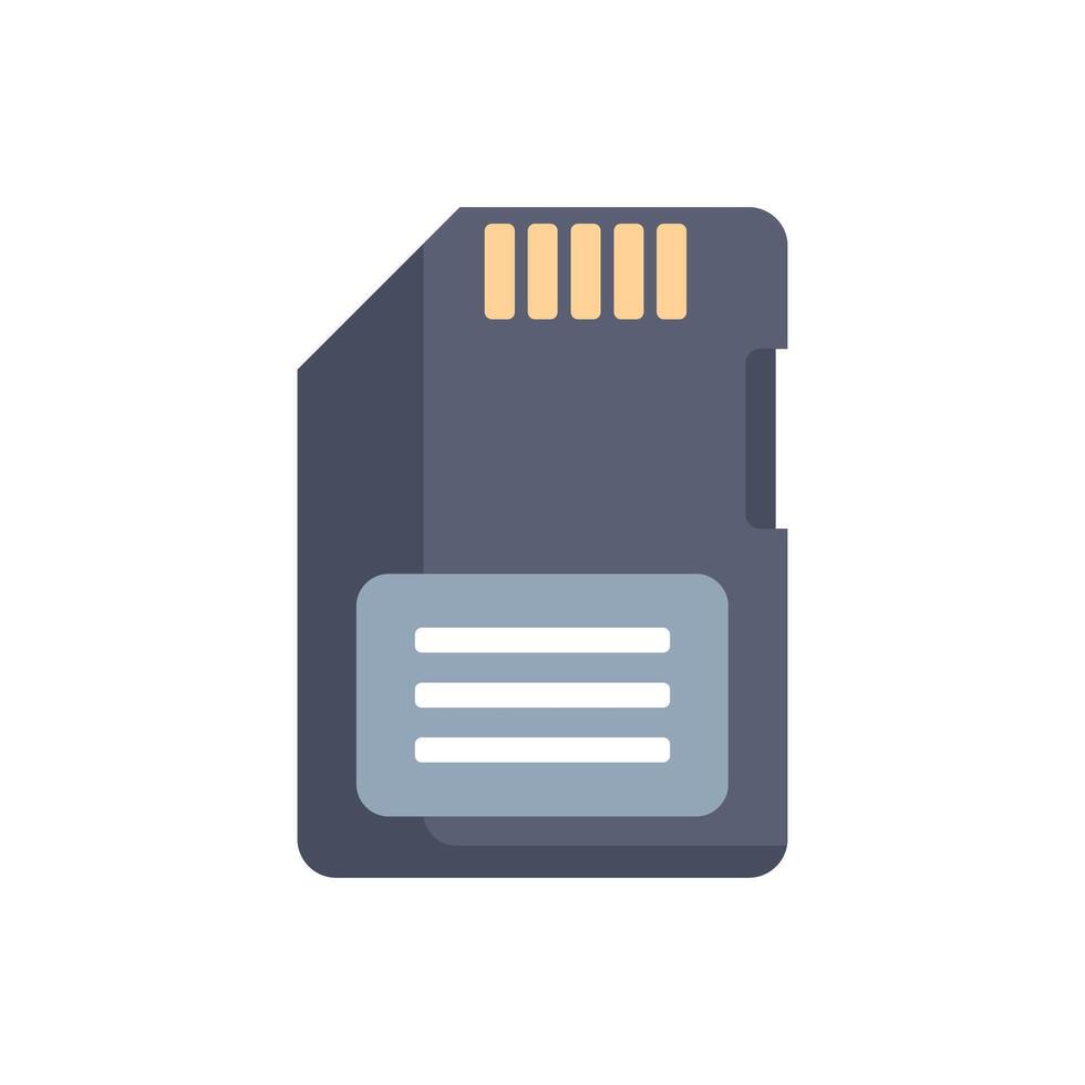 Secure digital memory card storing important data information vector