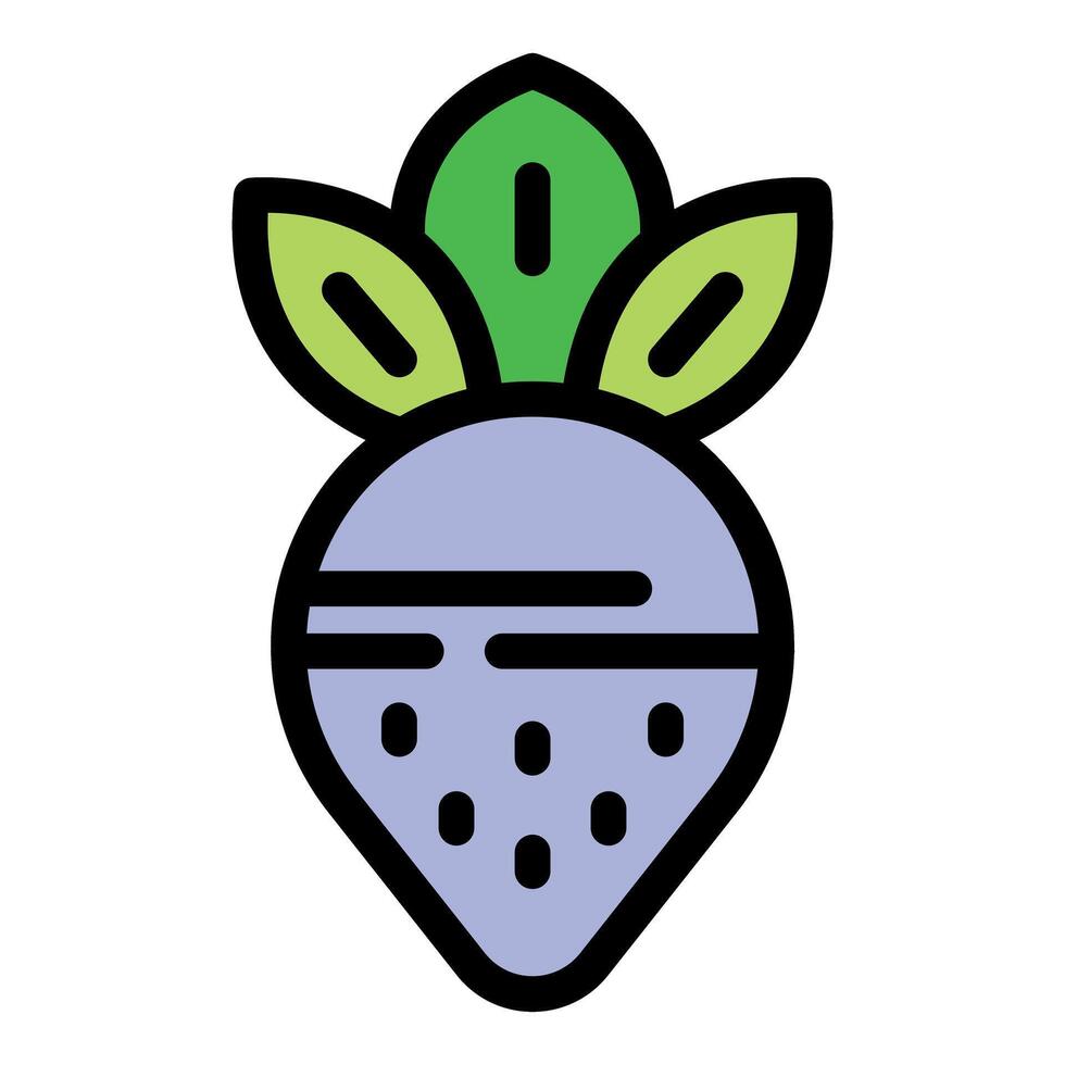 Freshly picked beetroot with green leaves icon design vector