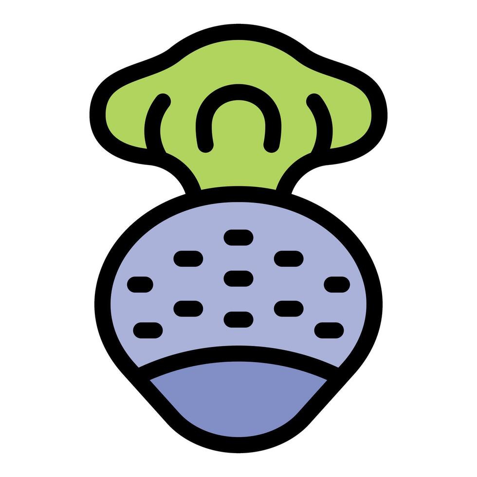 Purple kohlrabi root vegetable showing small green leaves vector
