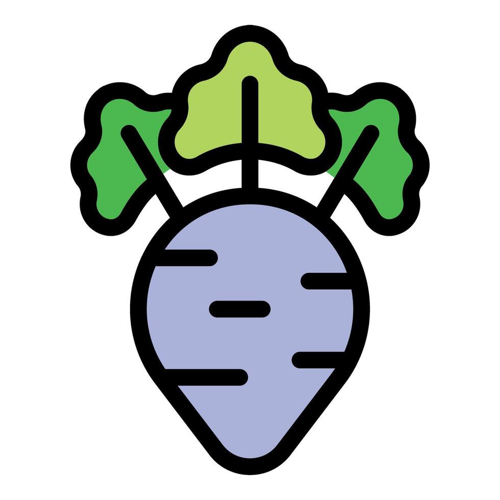 Fresh turnip vegetable showing green leaves vector