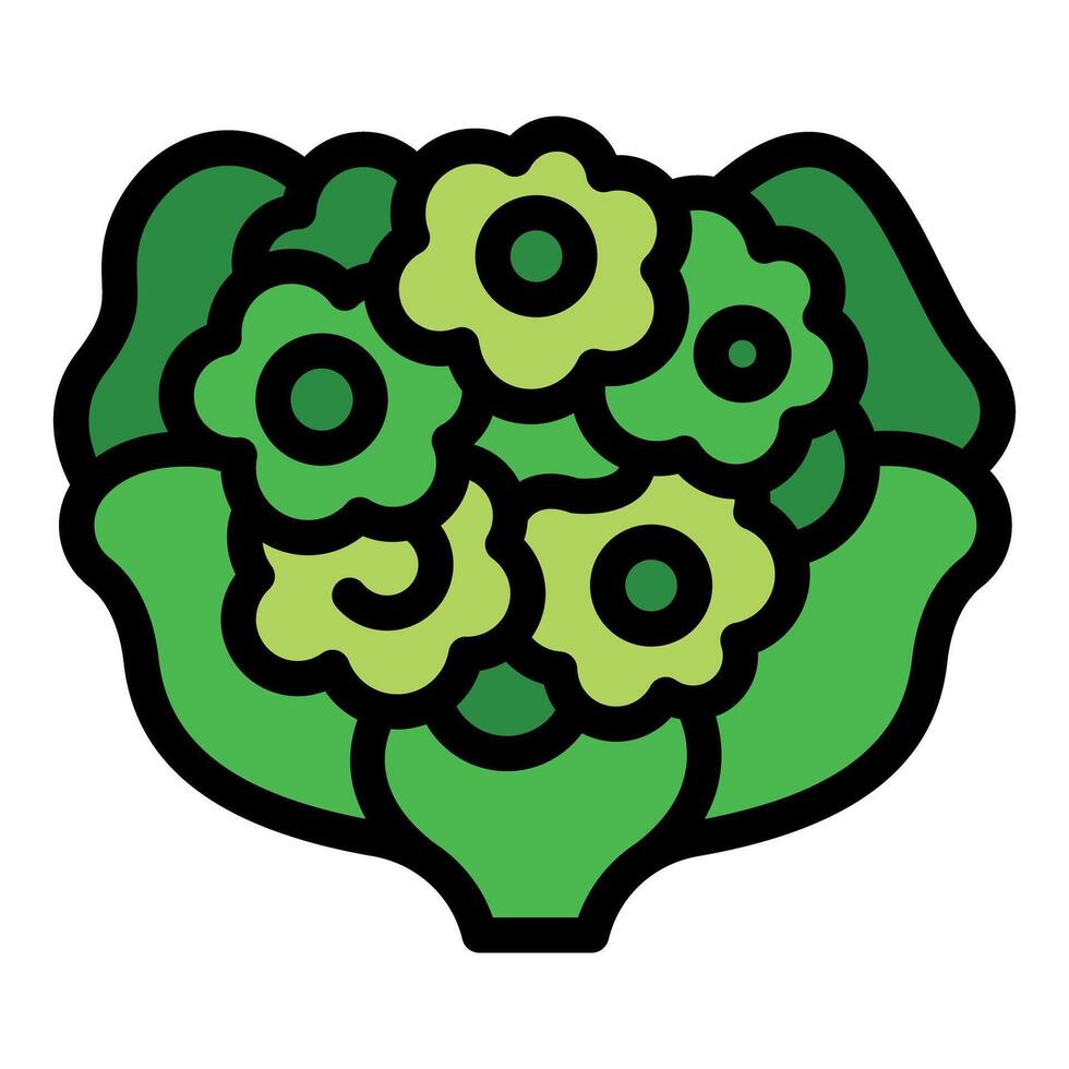 Green romanesco broccoli florets forming a natural pattern vector