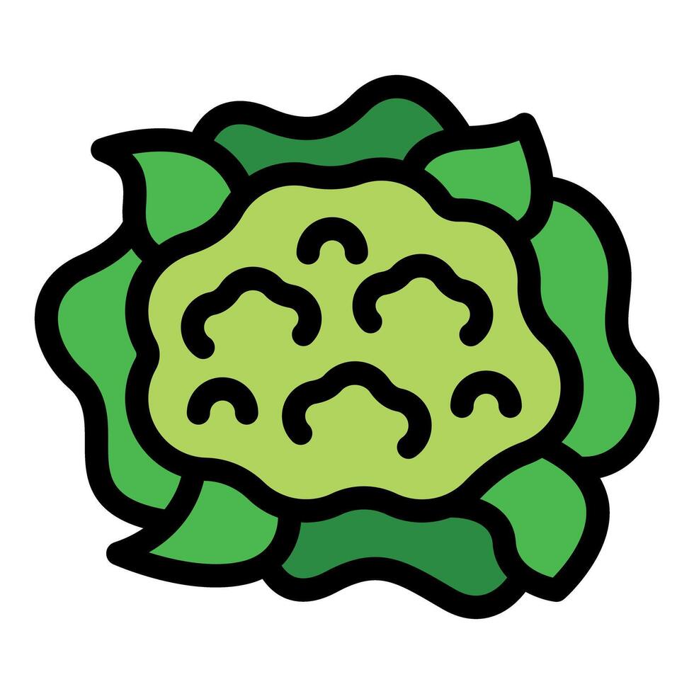 Fresh green cauliflower vegetable food icon showing healthy eating vector