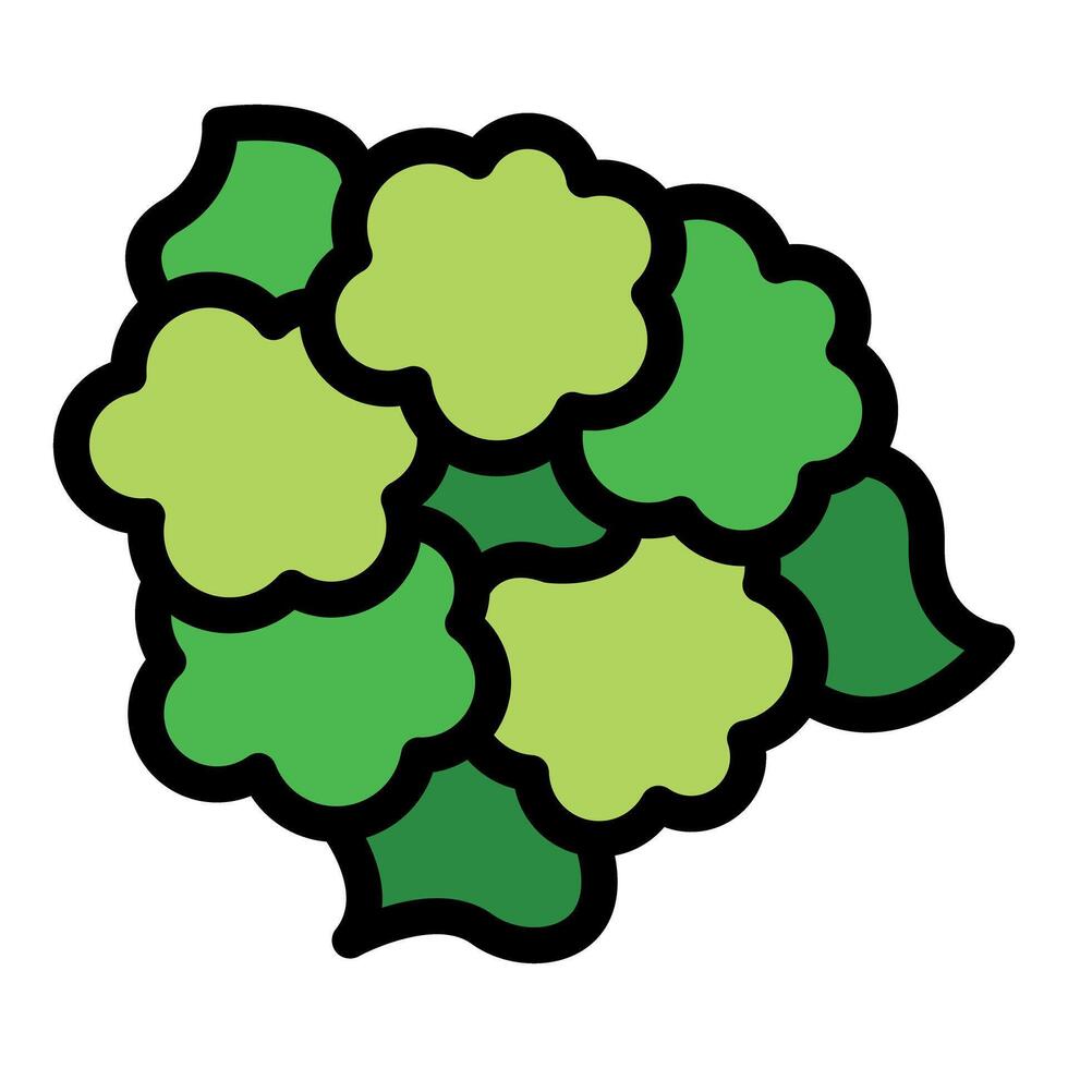 Green broccoli florets forming a healthy vegetable vector