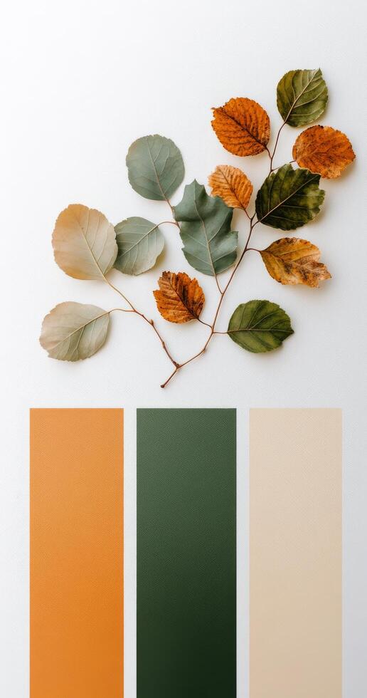 Colorful autumn leaves arranged artfully on a textured white background in a flat lay layout photo