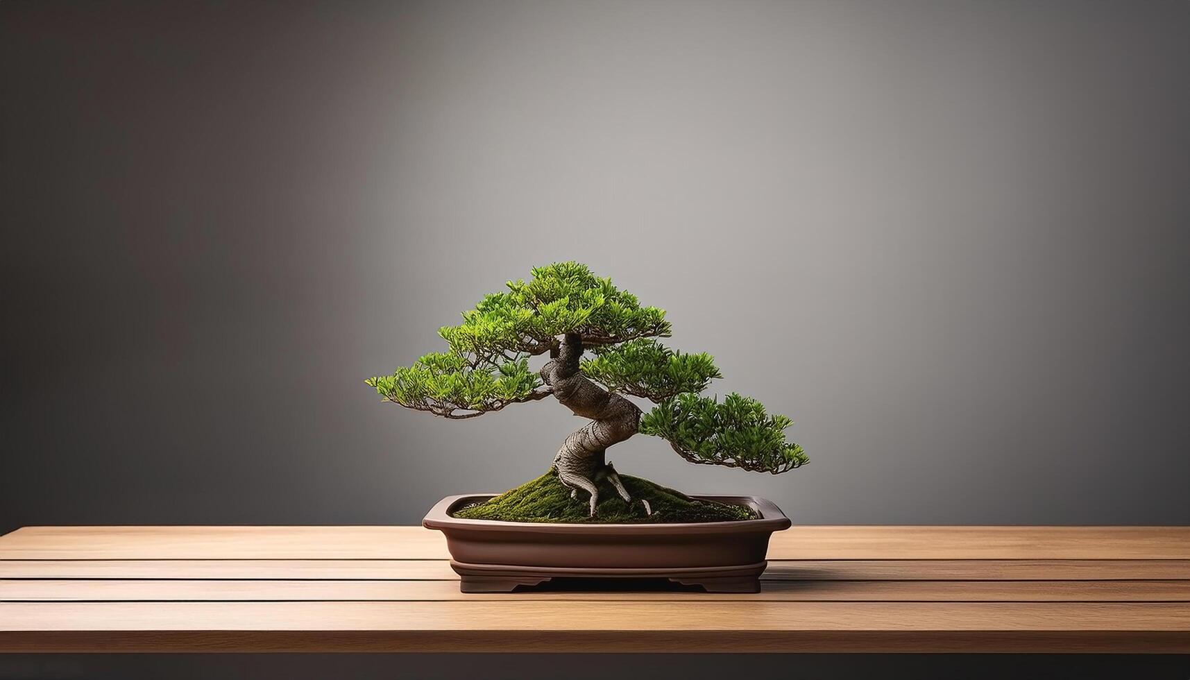 Small bonsai tree on wooden table, with grey background photo