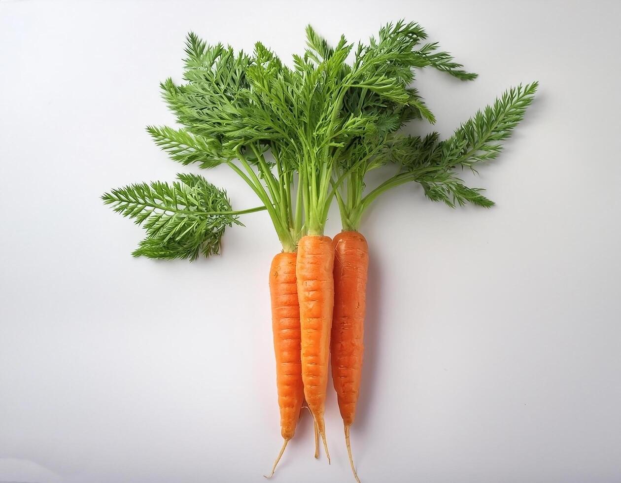 Some carrots are bright orange with green leaves, standing out against the white background photo