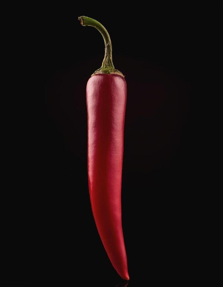 One fresh red chili on a solid black background photo