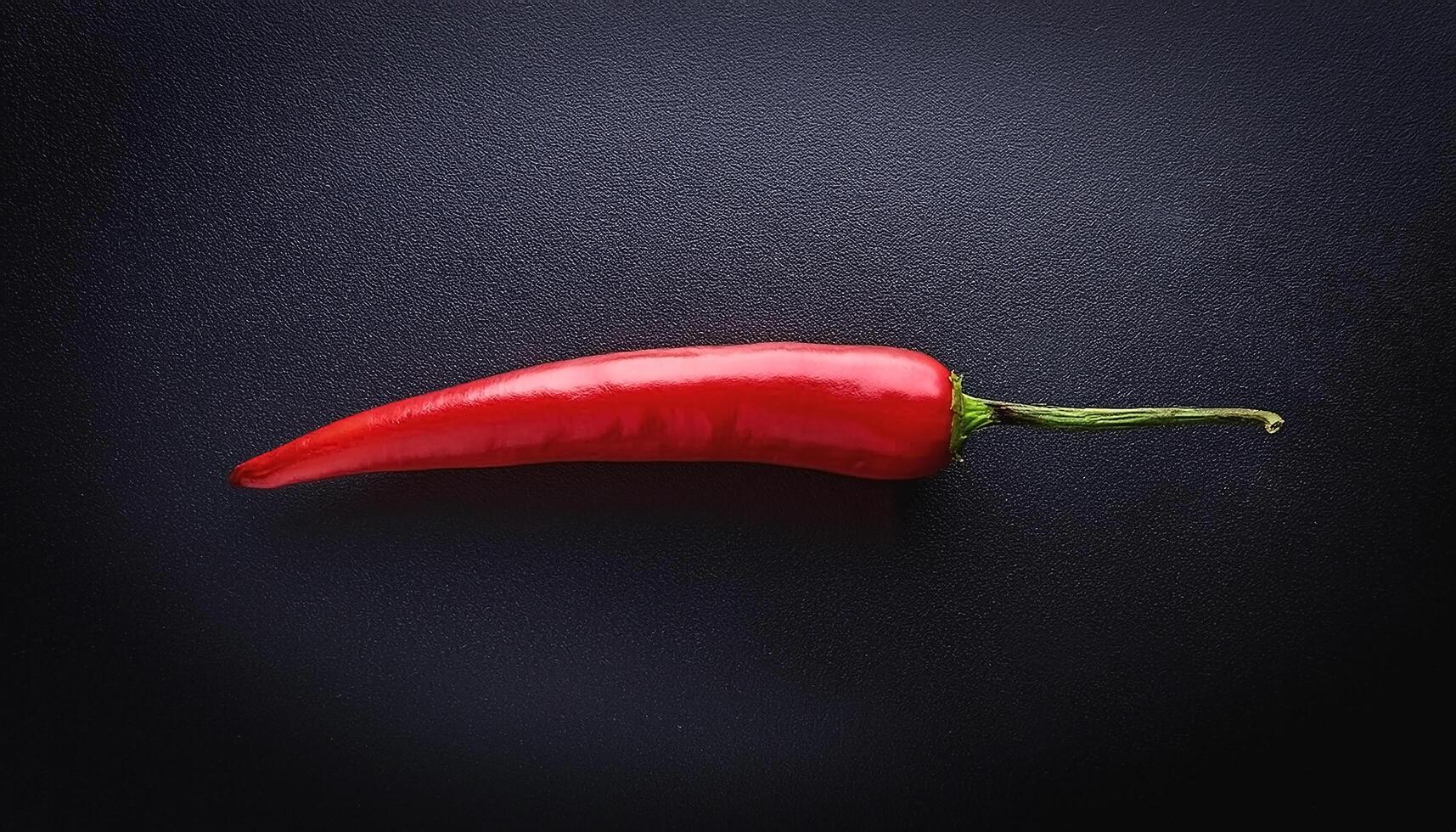 One fresh red chili on a solid black background photo