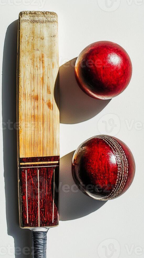 cricket bat lies next to two red cricket balls on a white background highlighting the wood grain and leather texture under soft shadows in midday lighting. photo