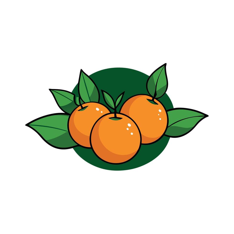 Oranges and green leaves on dark green background vector