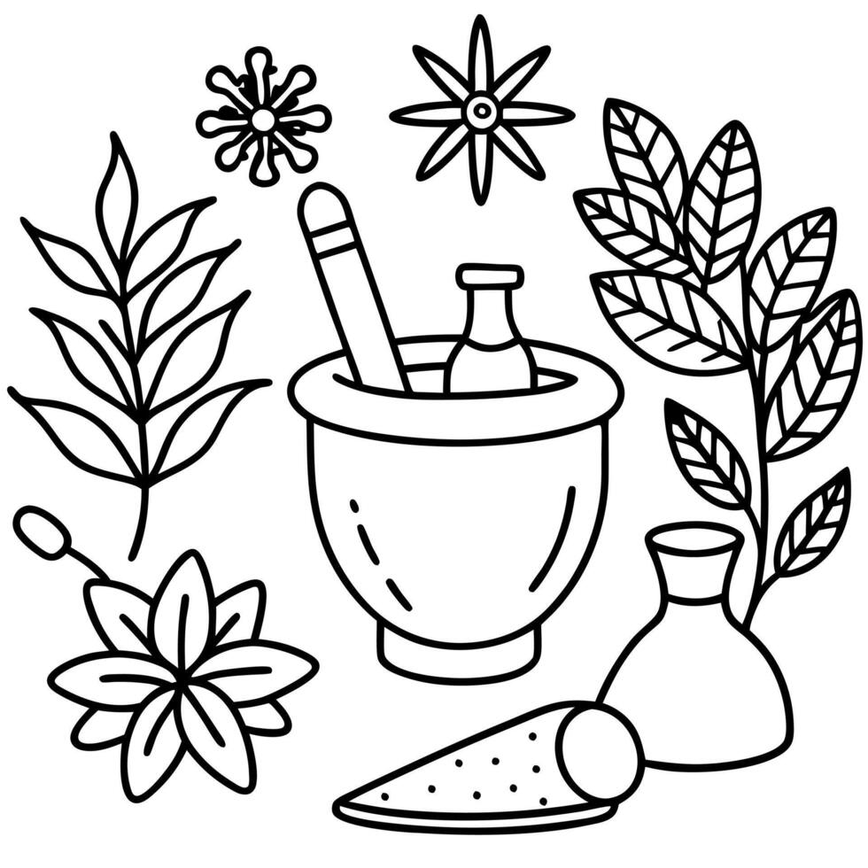 Natural pagan wiccan herbal plant and flower remedy preparation vector