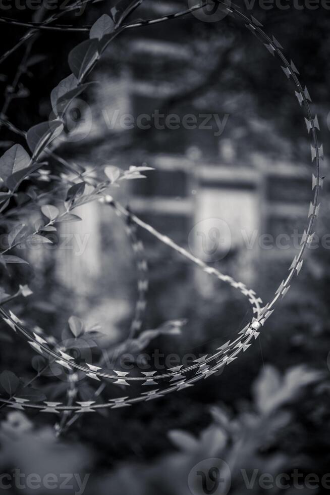 Vertical close-up of barbed wire arranged in a circular shape photo
