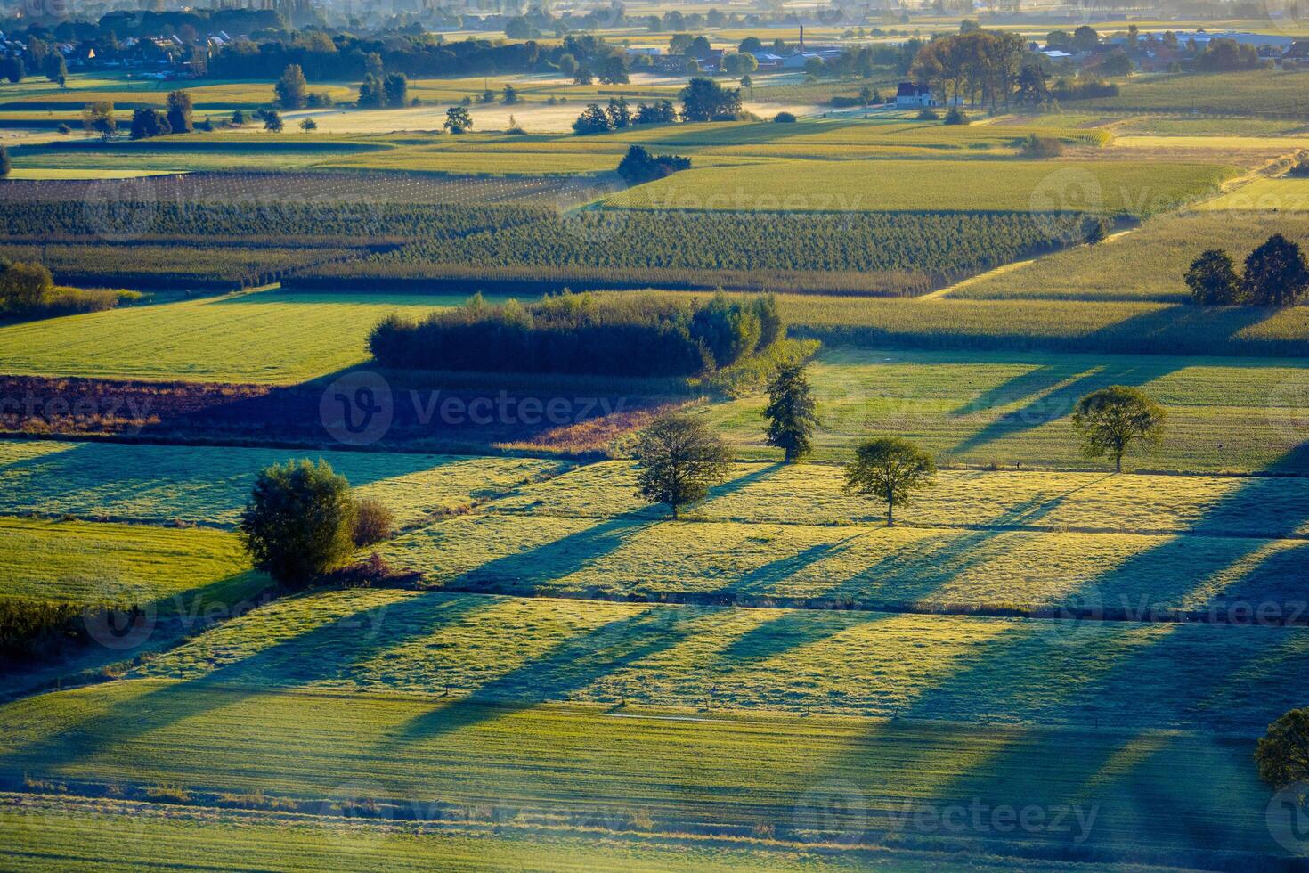 High angle view on rural and agricultural fields in Waasland of East Flanders, Belgiuma photo