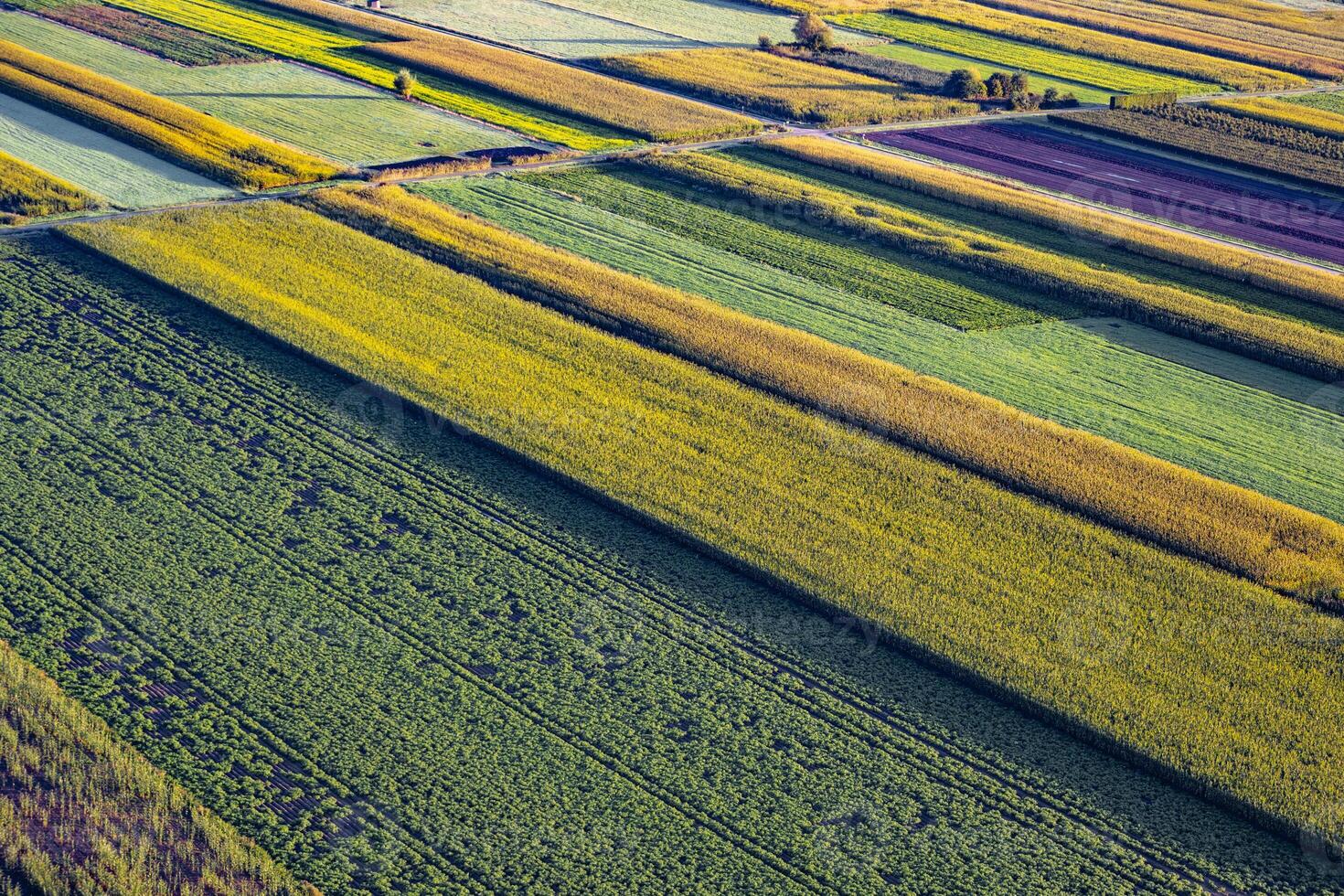 High angle view on rural and agricultural fields in Waasland of East Flanders, Belgiuma photo