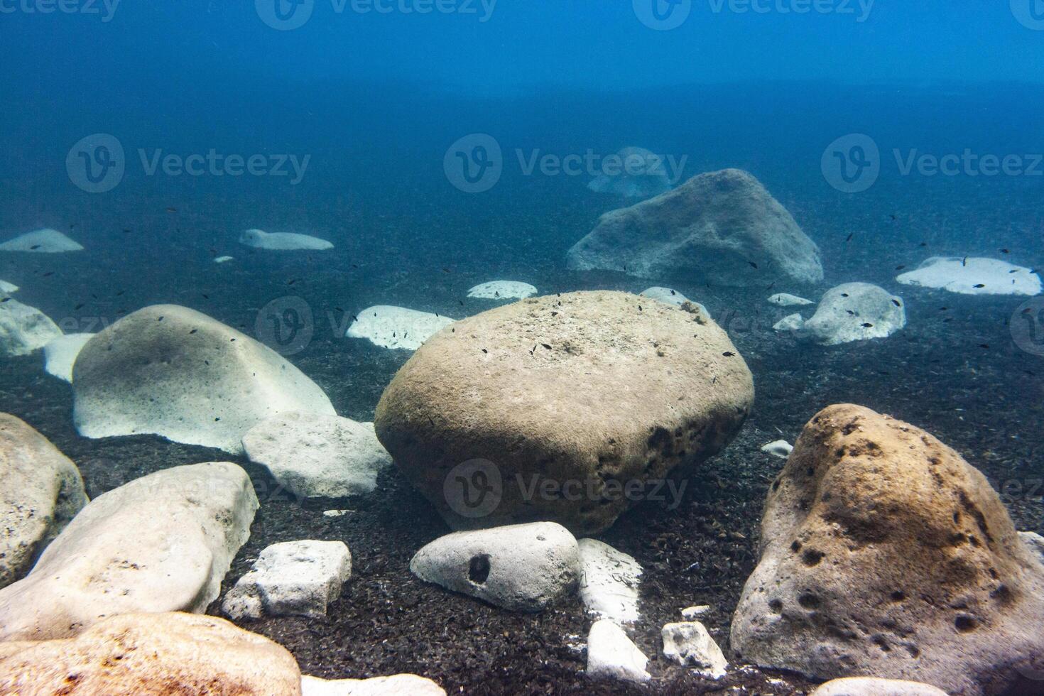 Rocks and rocks are scattered on the ocean floor photo
