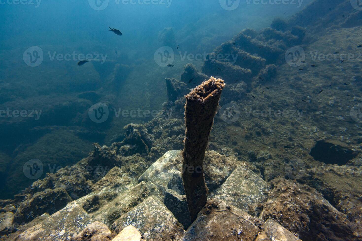A rusty piece of wood is sitting on the bottom of the ocean photo
