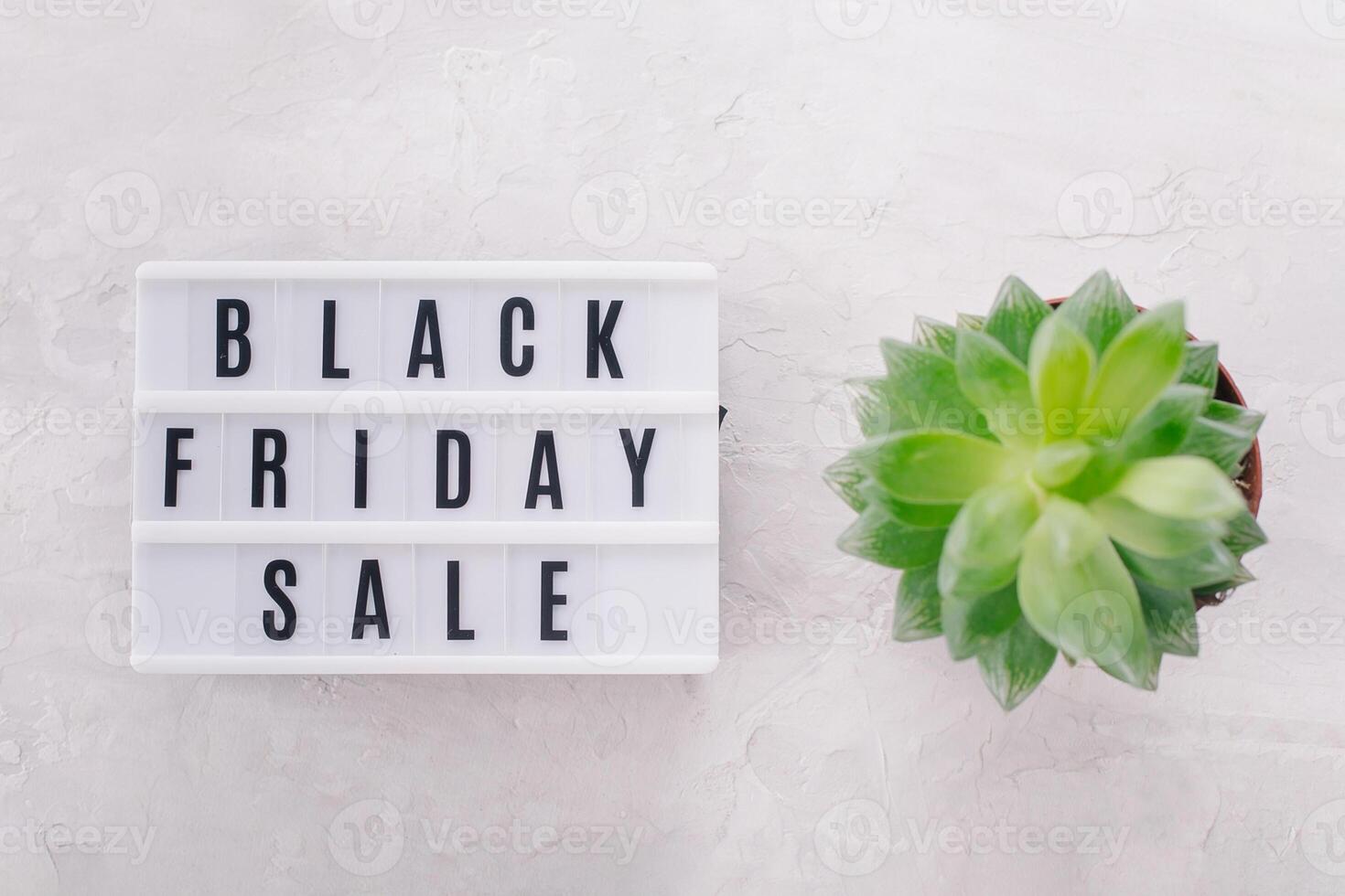 Black friday sale word written on lightbox, plant succulent on light background. Flat lay photo
