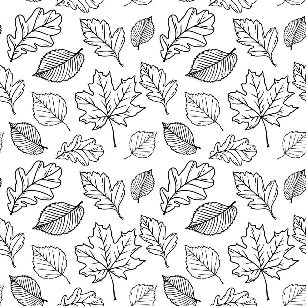 Line art pattern with different leaves. vector