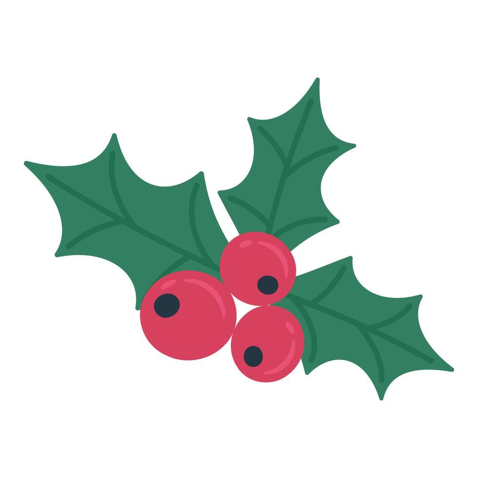 Christmas holly branch. On a white background vector
