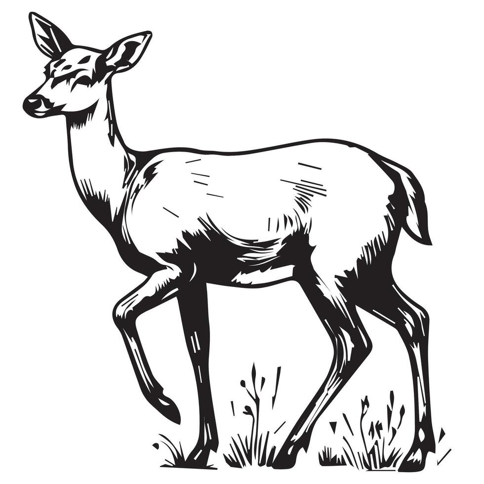 Deer art illustration vector