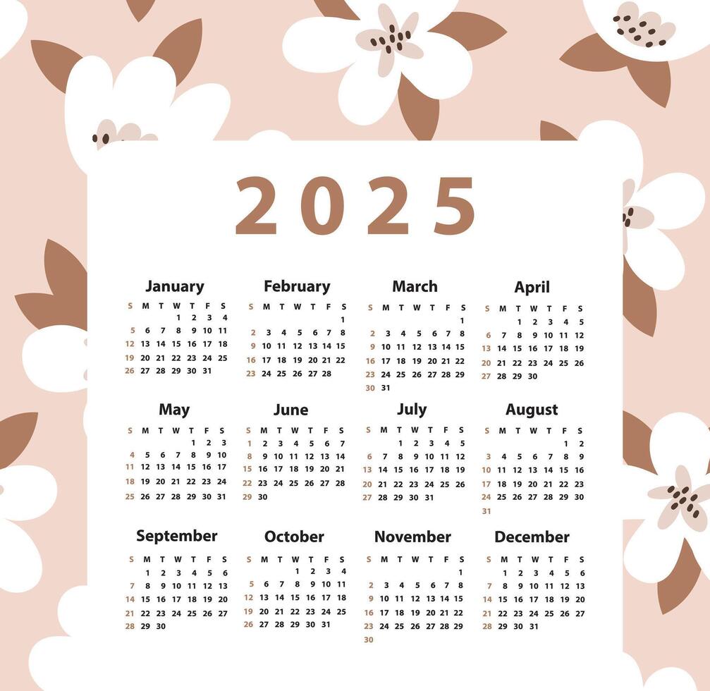 Calendar set 2025 starting from Sunday. illustration vector
