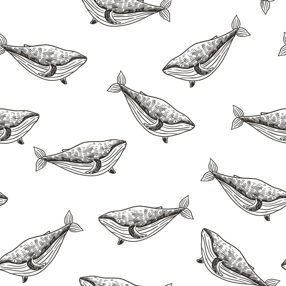 Seamless pattern with hand drawn whales. illustration in sketch style. vector