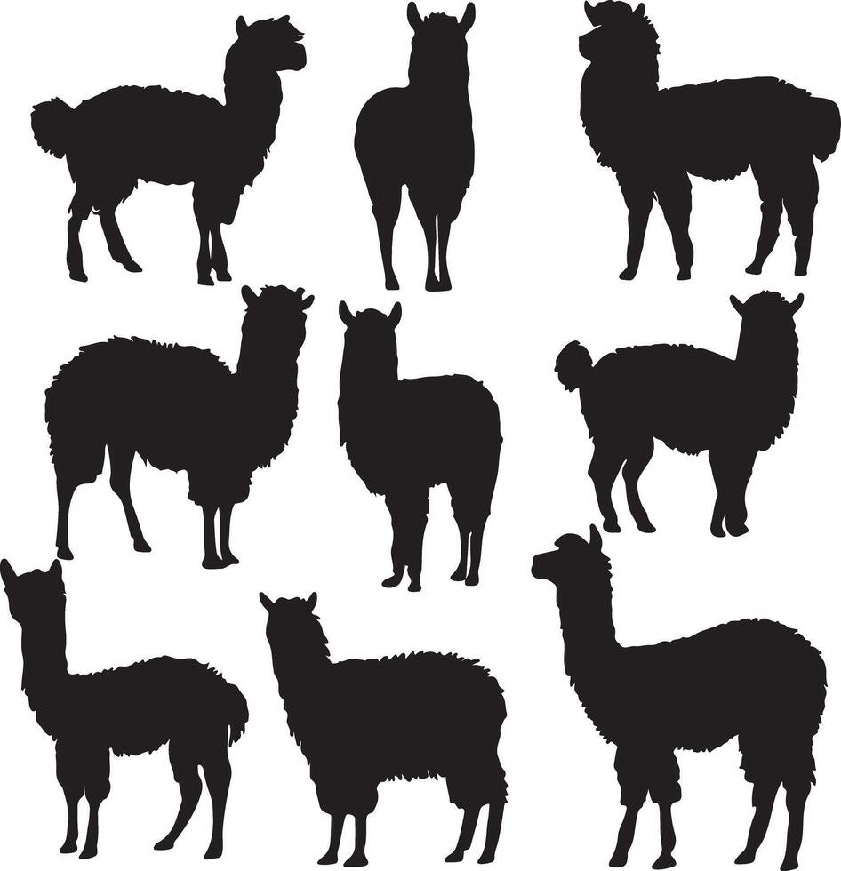 Silhouettes of llamas and alpacas vector
