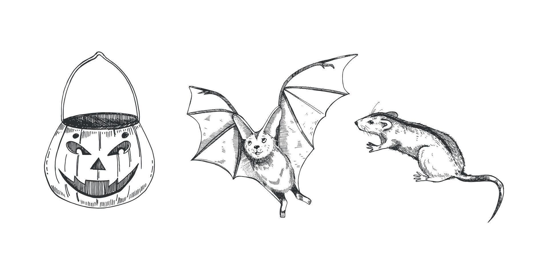 Bat, rat, pumpkin candy basket for Halloween. All objects are hand drawn in in black color. illustration for Halloween. Suitable for printing on cards, invitations, decor vector