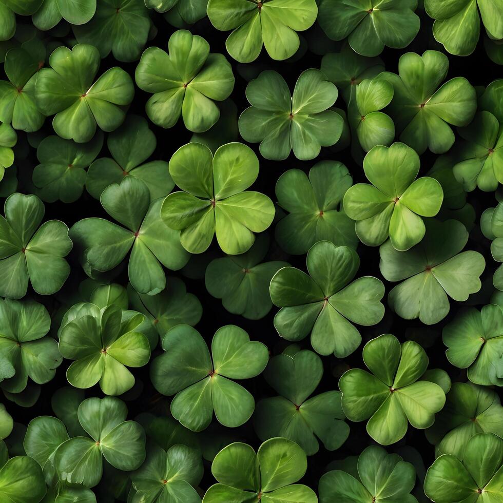 Botanical Green irish Clover Shamrock Luck Pattern black background photo