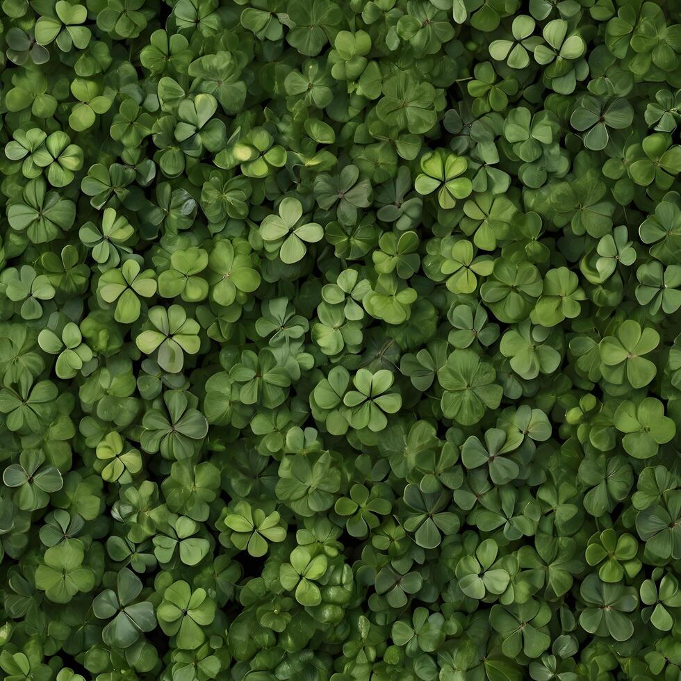 Green irish Clover Shamrock Luck Pattern photo