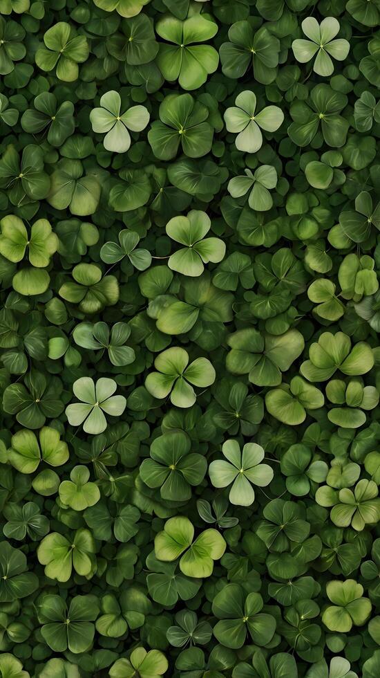Green Clover Shamrock Luck Pattern photo