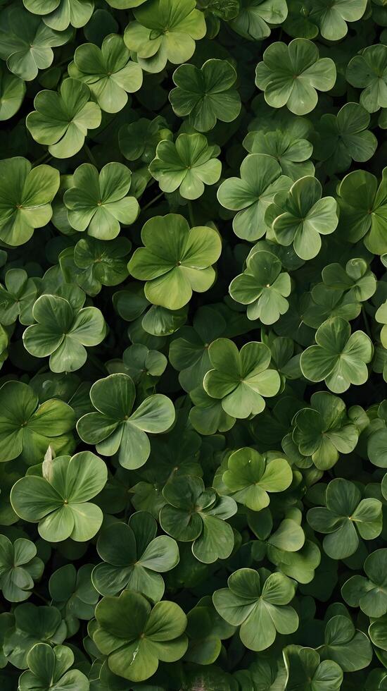 Green Clover Shamrock Luck Pattern photo