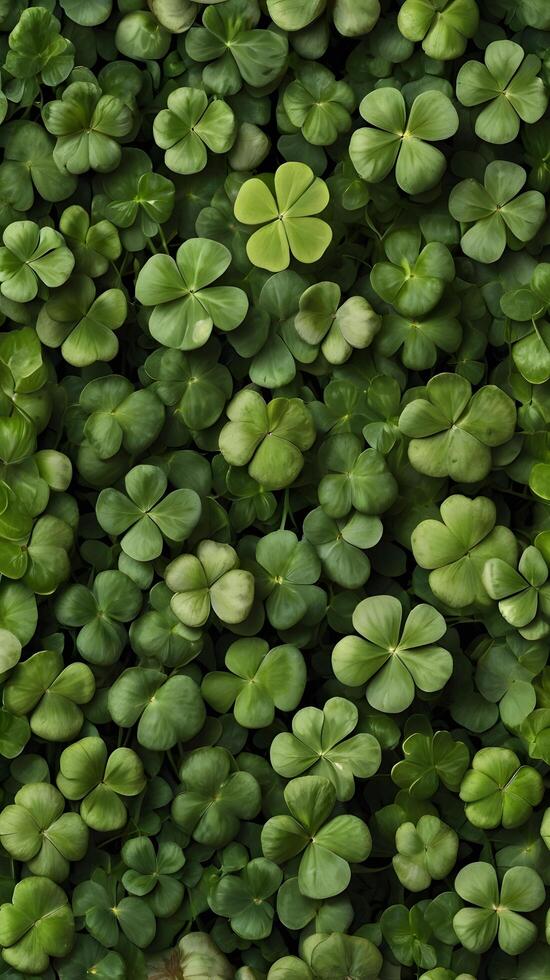 Botanical Green irish Clover Shamrock Luck Pattern photo