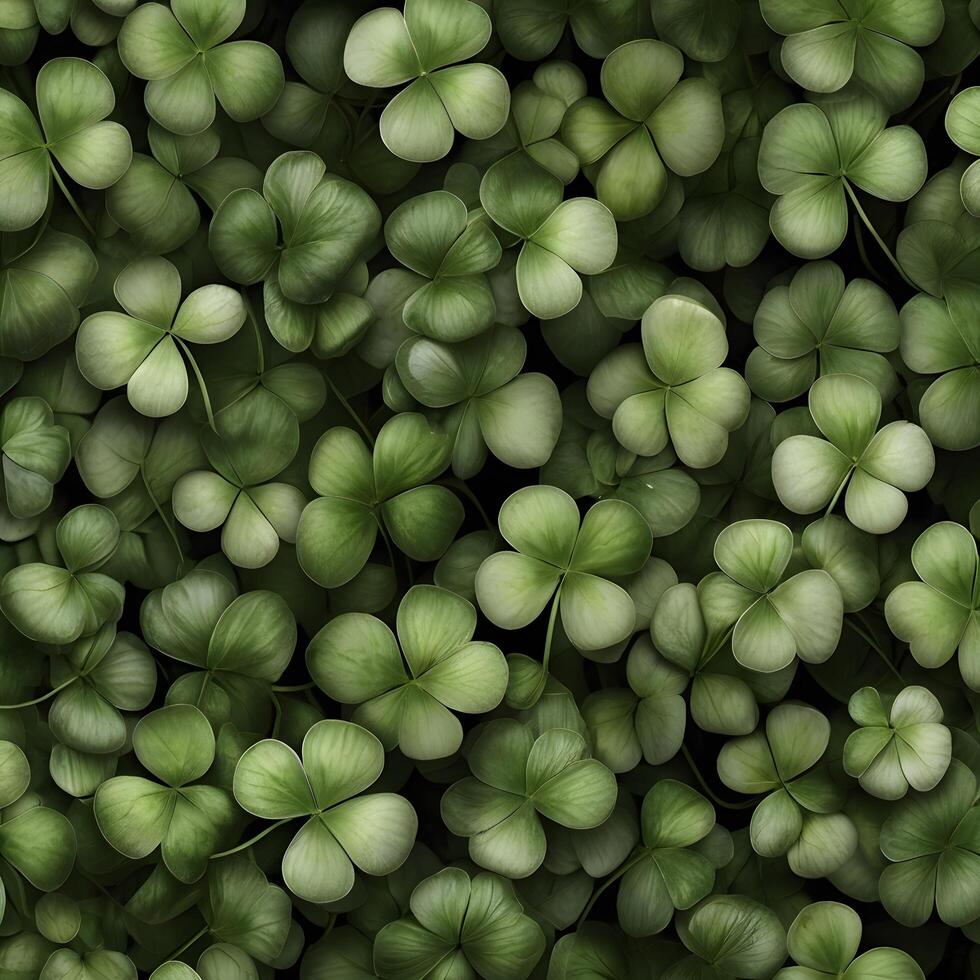 Green Clover Shamrock Luck Pattern photo