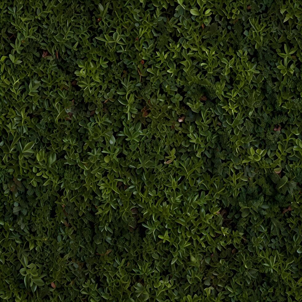Green Hedge Botanical Pattern with Leafs background photo