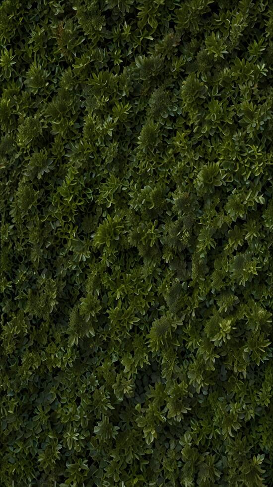 Green Hedge Botanic Pattern with Leafs background photo
