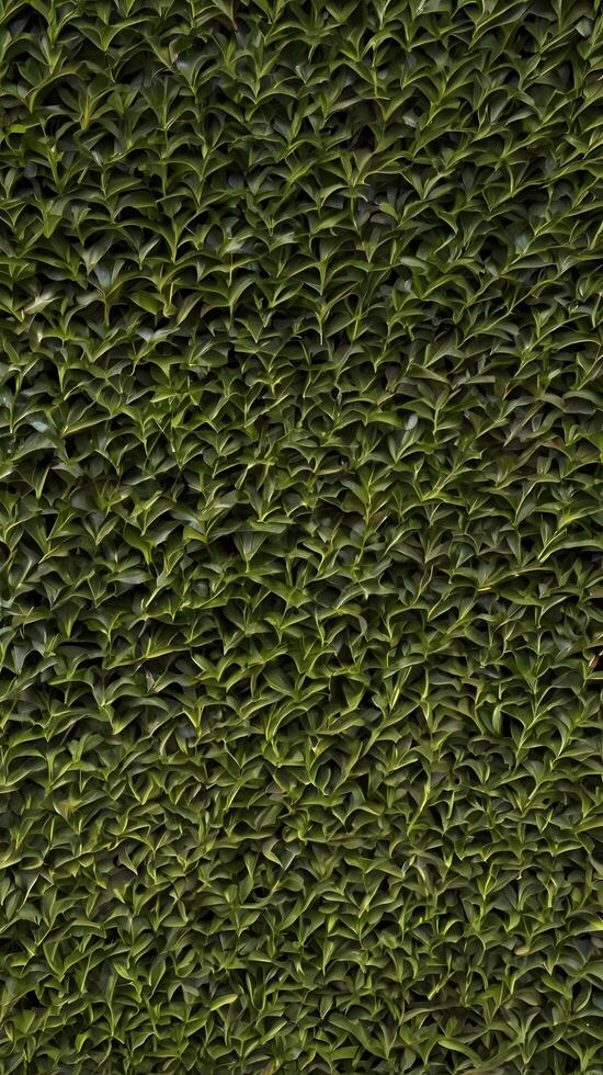 Green Hedge Botanic Pattern with Leafs background photo