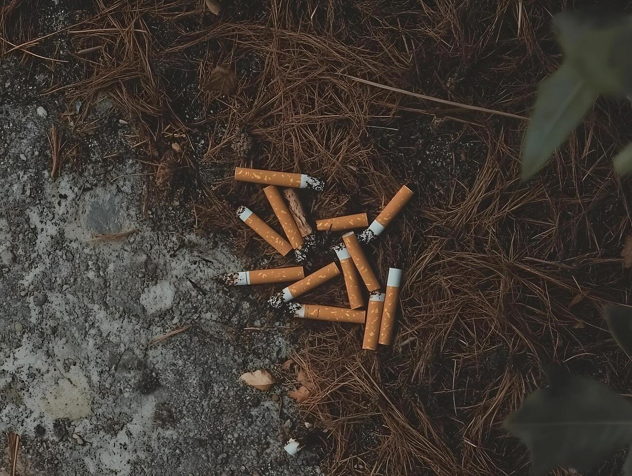 Smoking Tobacco Smoked cigarette ash waste on the ground photo