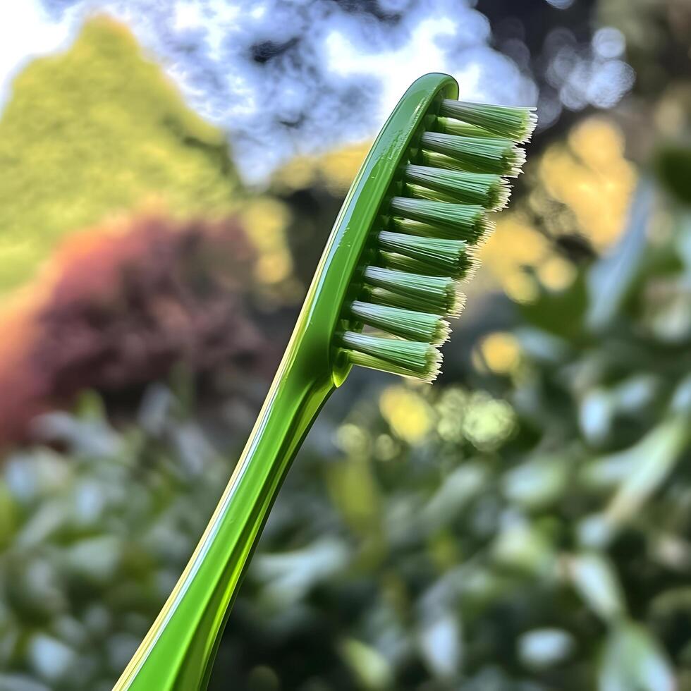Green Toothbrush dental personal clean care hygiene photo