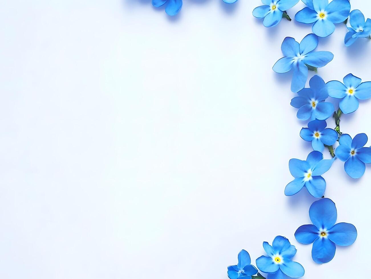 Blue Floral Flower Summer Nature Decoration white background photo