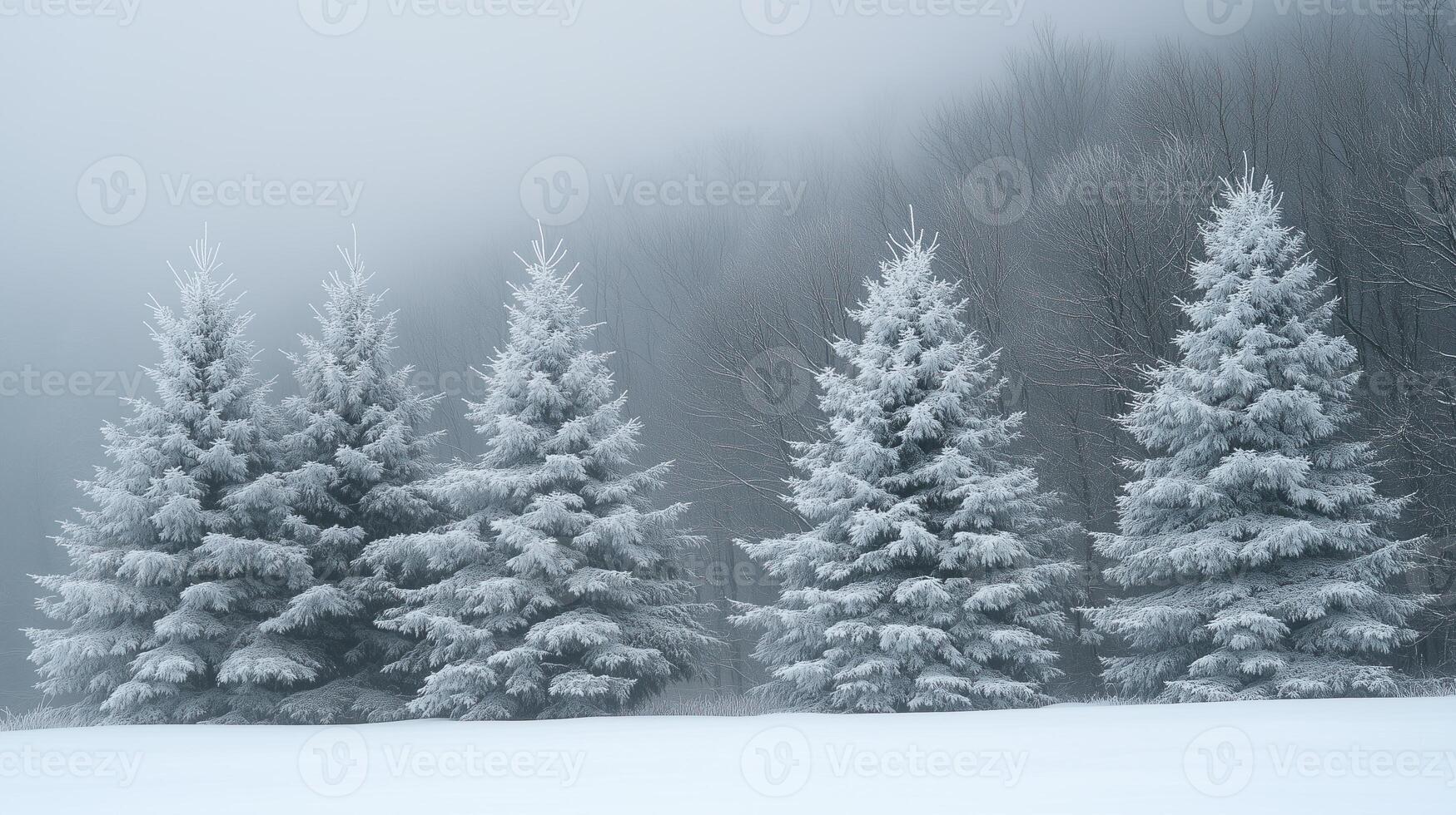 A serene winter landscape featuring snow-covered trees photo