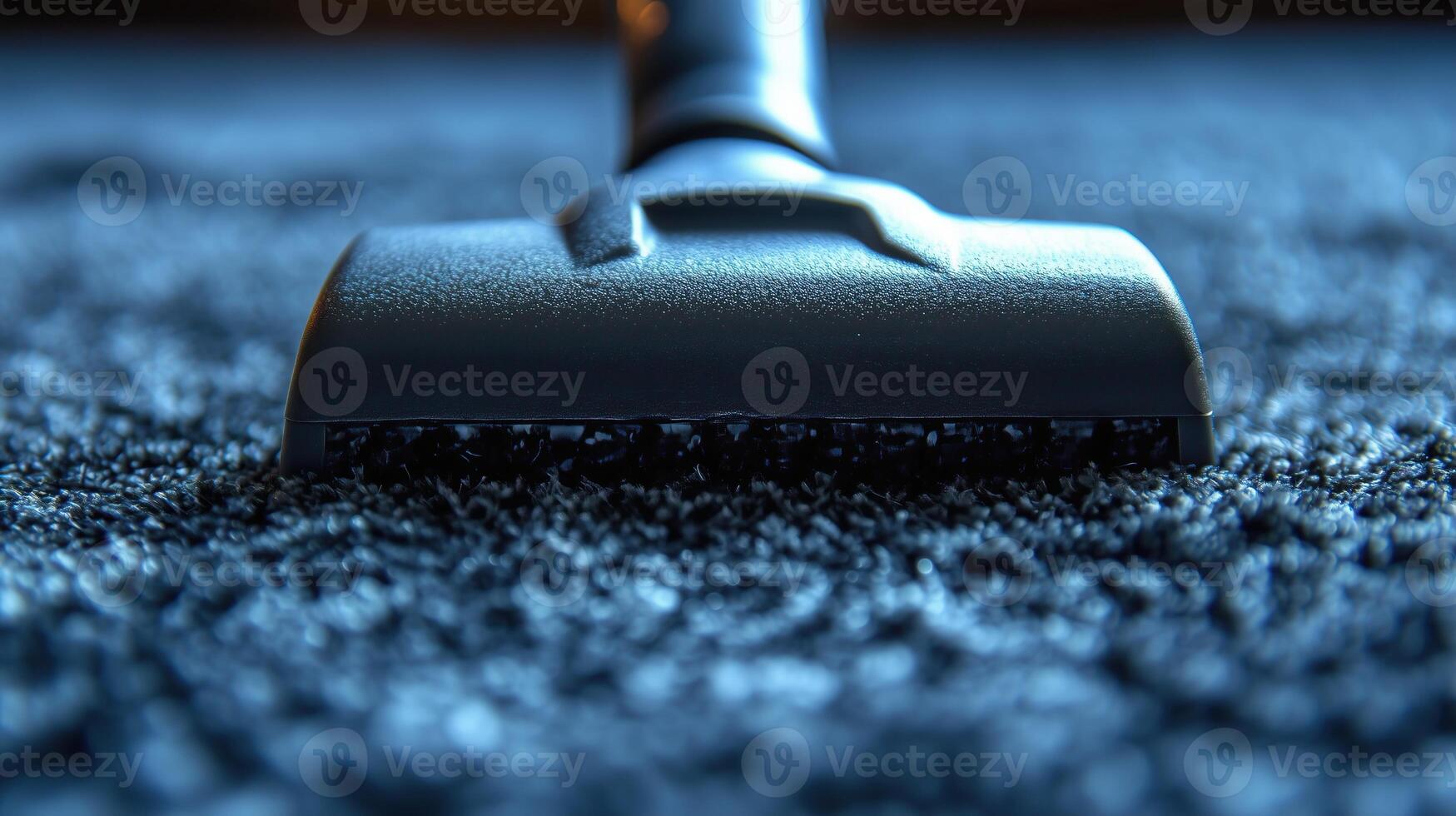 Carpet cleaning service photo